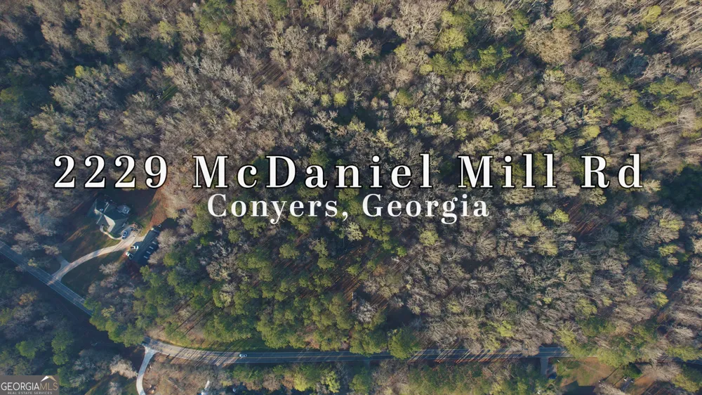 2229 Mcdaniel Mill RD SW Conyers, GA 30094