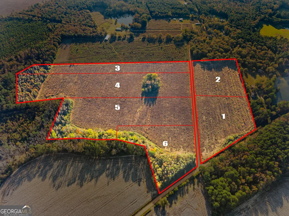 0 Waters LN Claxton, GA 30417