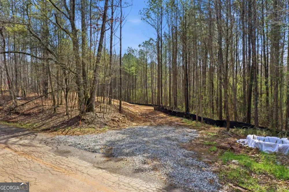 250 Sardis CIR Canton, GA 30114