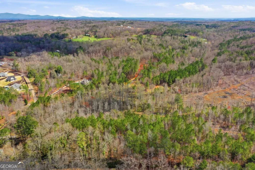 250 Sardis CIR Canton, GA 30114