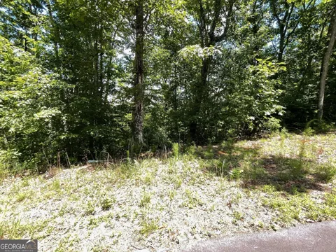 LOT 20 Fodder Creek Mill DR