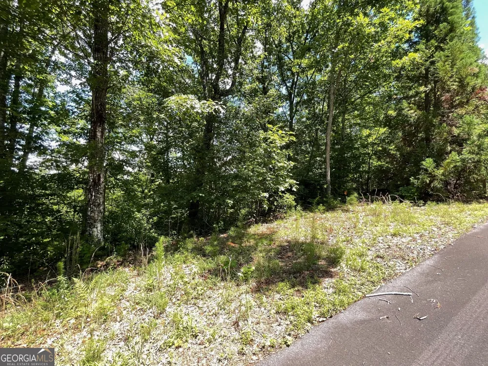 LOT 20 Fodder Creek Mill DR Hiawassee, GA 30546