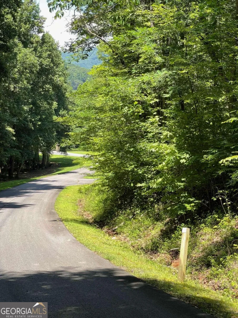 LOT 14 Big Cove DR Hiawassee, GA 30546