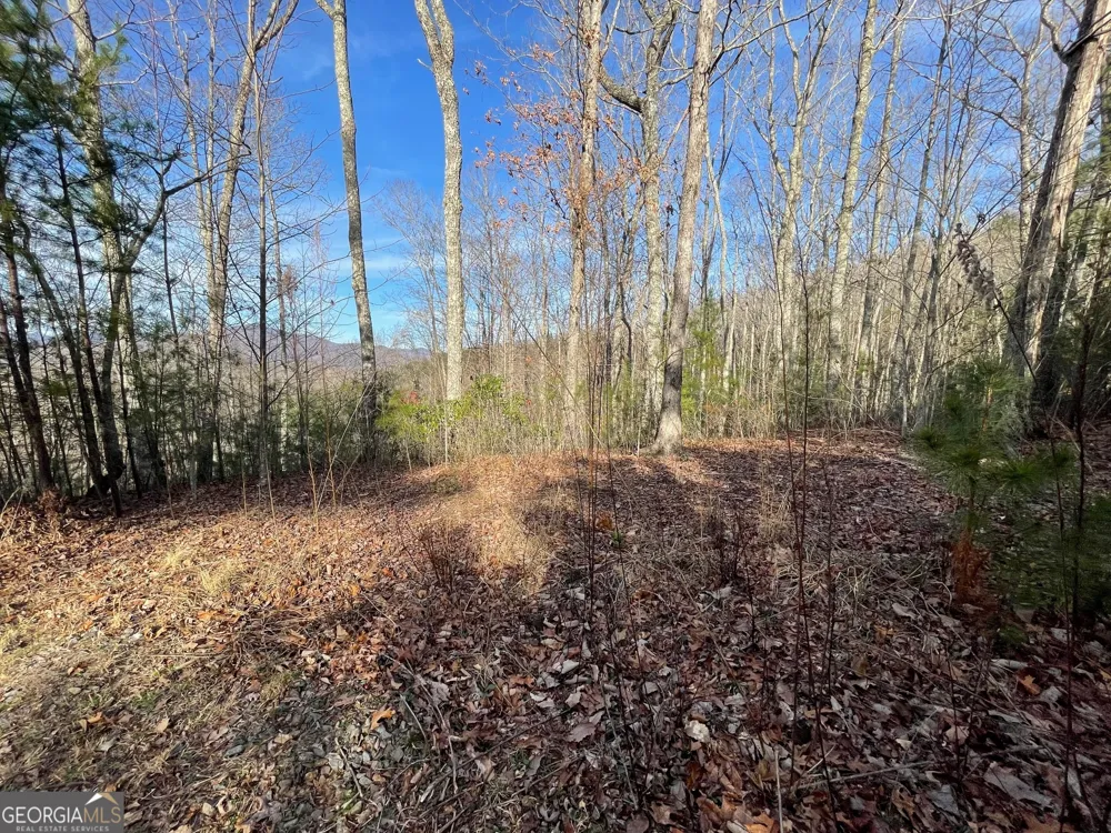 LOT 14 Big Cove DR Hiawassee, GA 30546