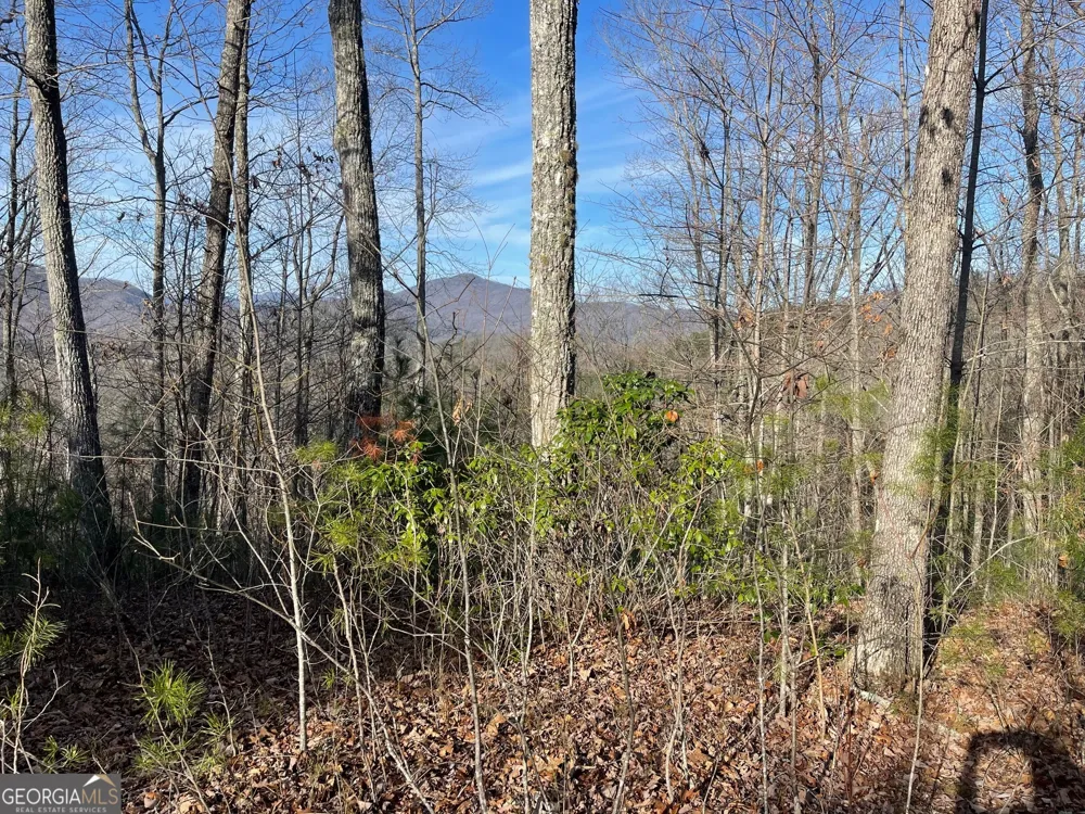 LOT 14 Big Cove DR Hiawassee, GA 30546