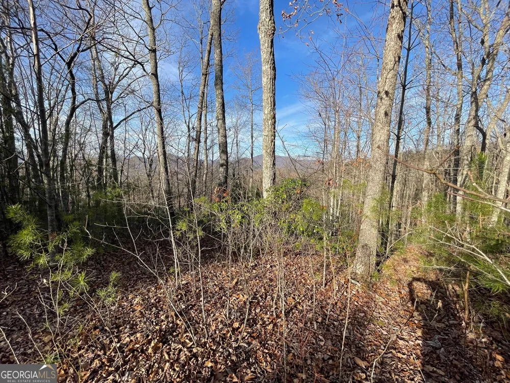 LOT 14 Big Cove DR Hiawassee, GA 30546