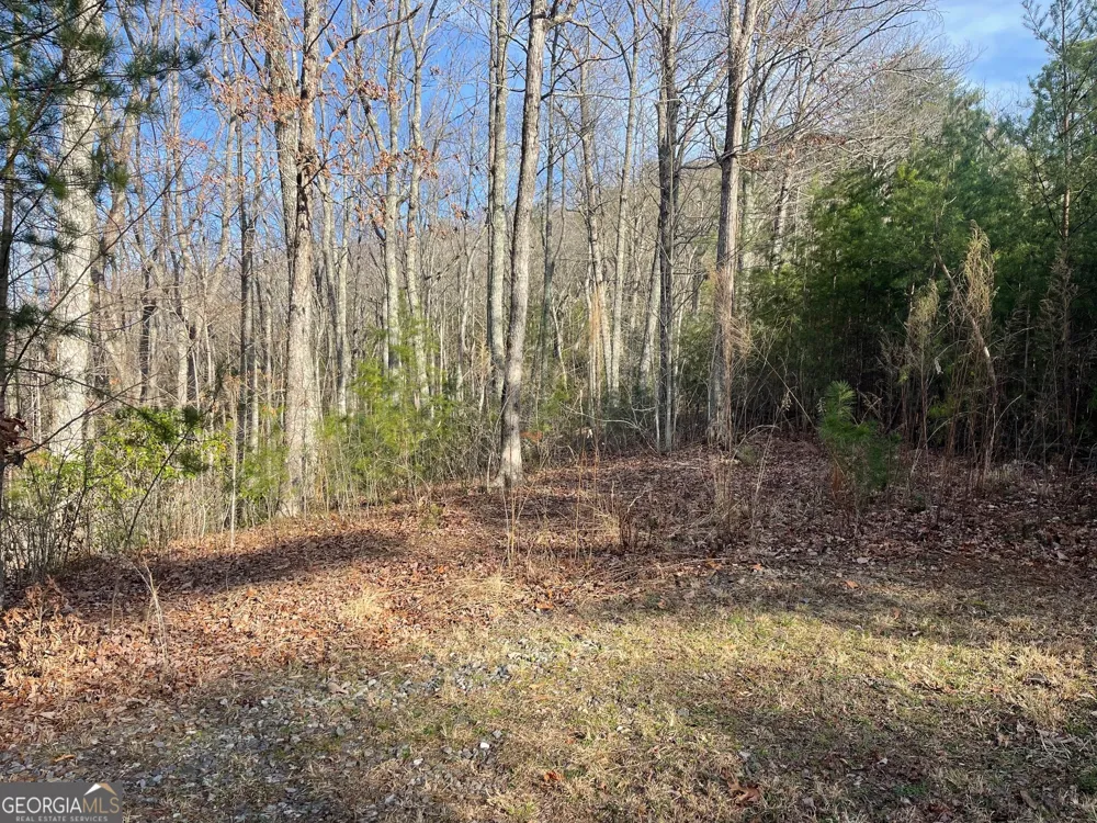 LOT 14 Big Cove DR Hiawassee, GA 30546