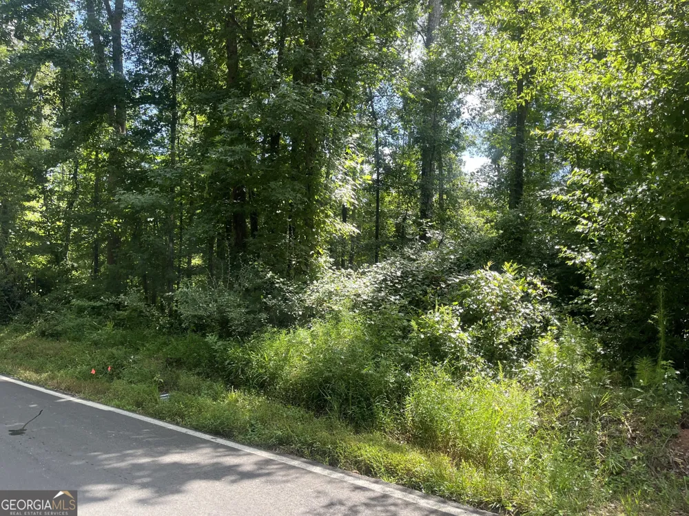 0 Southern Shores Jackson, GA 30233