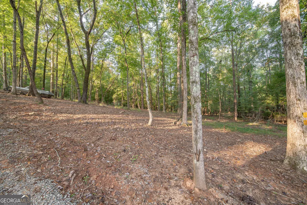 265 Dollar RD Hamilton, GA 31811