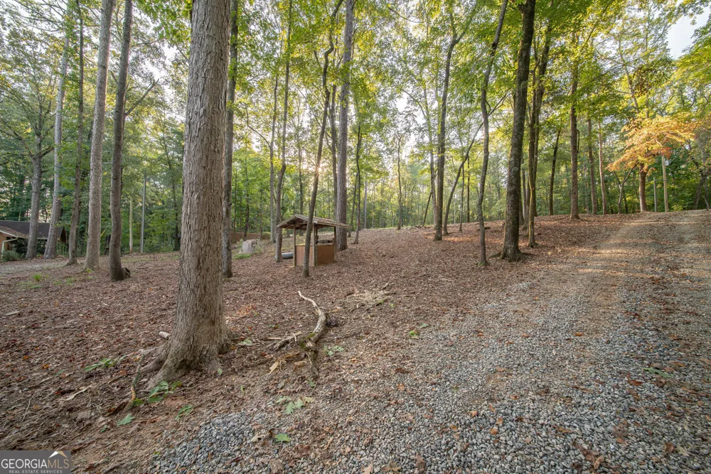 265 Dollar RD Hamilton, GA 31811