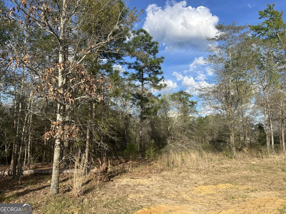 0 Highway 80 E Brooklet, GA 30415