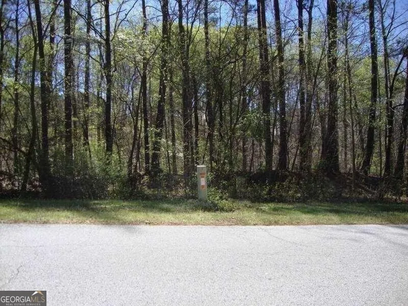 2515 SLATER MILL RD Douglasville, GA 30135
