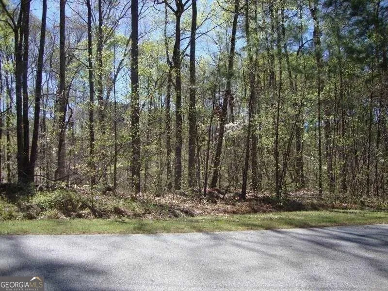 2515 SLATER MILL RD Douglasville, GA 30135