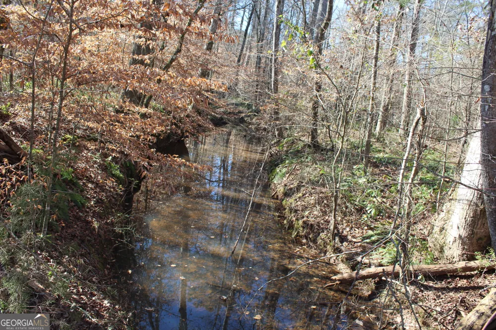 178.235 AC Rocky Mount RD Luthersville, GA 30251
