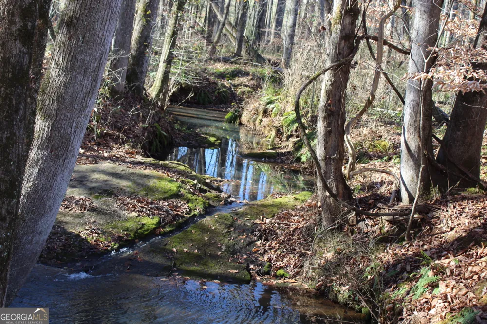 178.235 AC Rocky Mount RD Luthersville, GA 30251