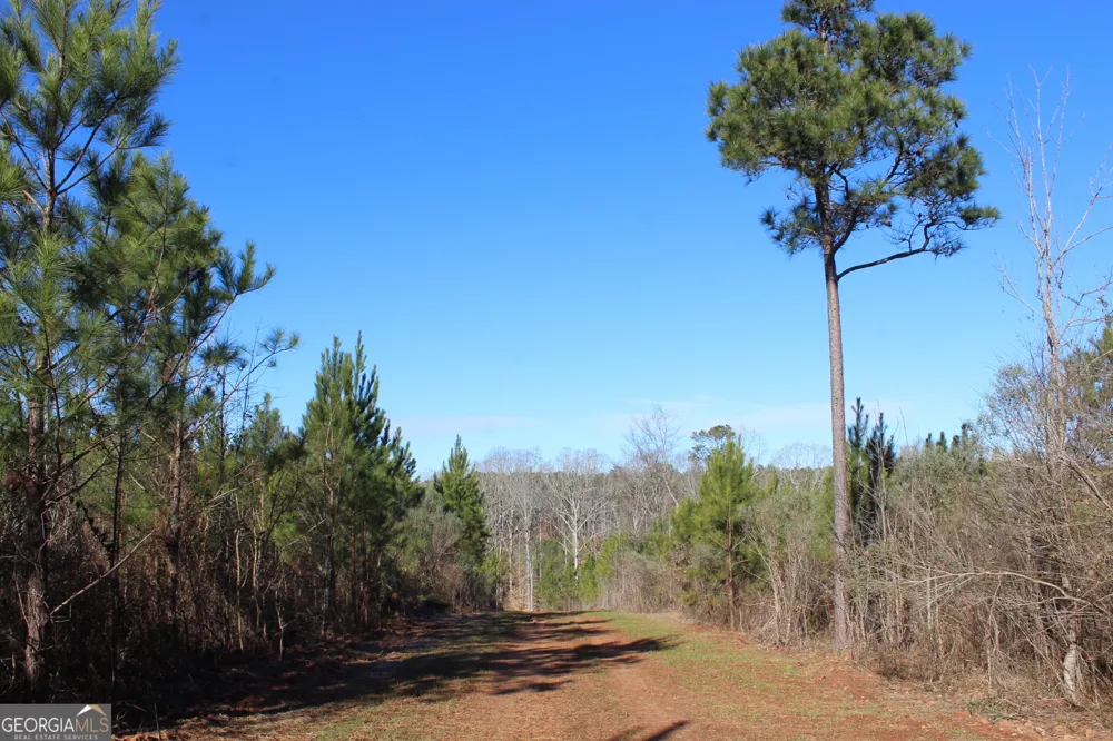 178.235 AC Rocky Mount RD Luthersville, GA 30251
