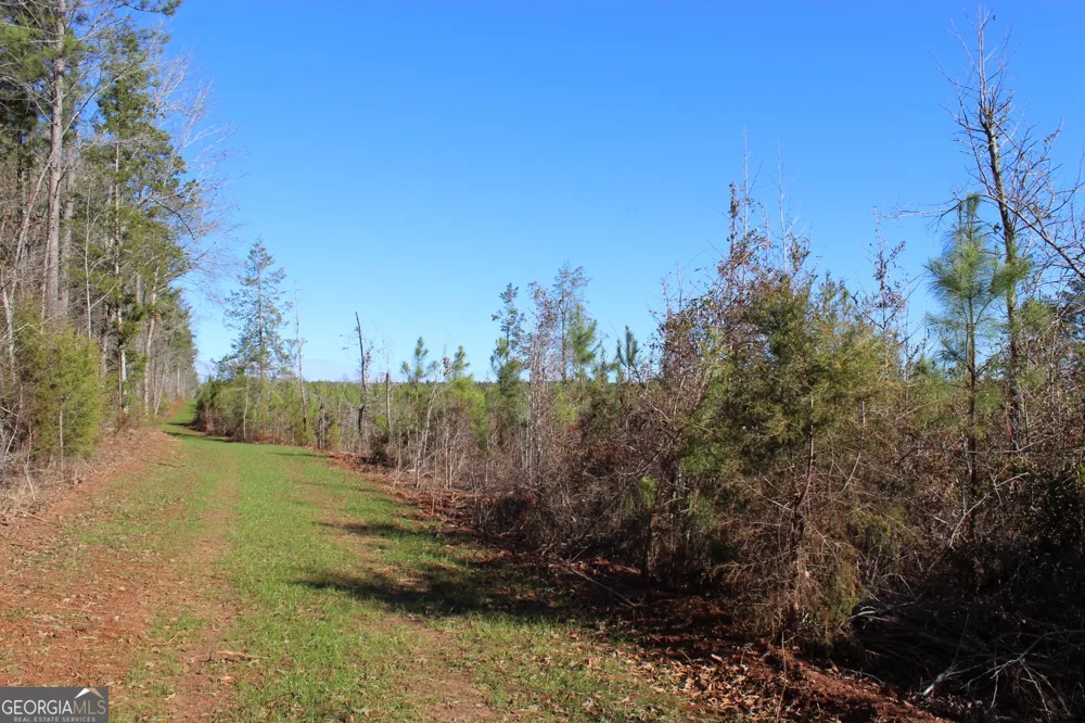 178.235 AC Rocky Mount RD Luthersville, GA 30251