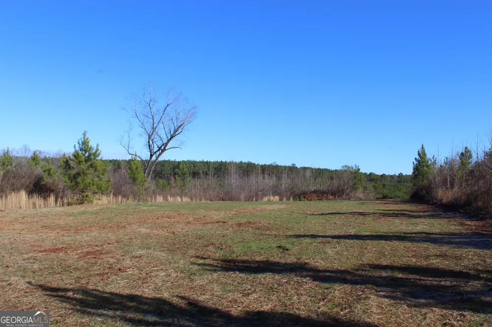 178.235 AC Rocky Mount RD Luthersville, GA 30251