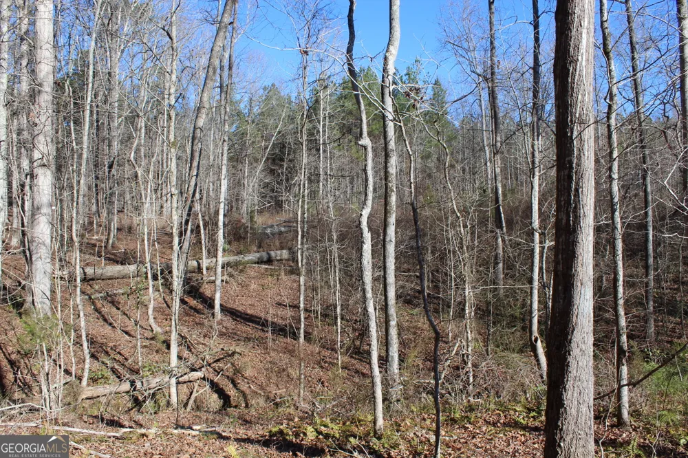 178.235 AC Rocky Mount RD Luthersville, GA 30251