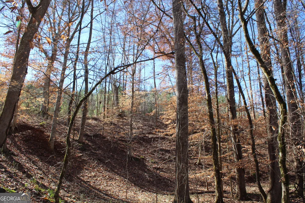 178.235 AC Rocky Mount RD Luthersville, GA 30251