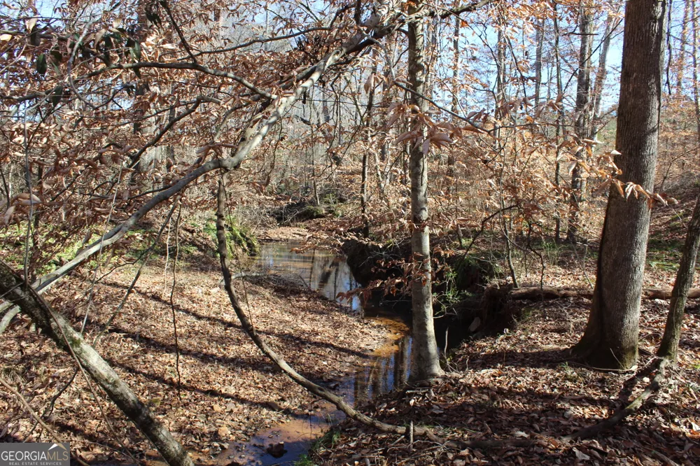 178.235 AC Rocky Mount RD Luthersville, GA 30251