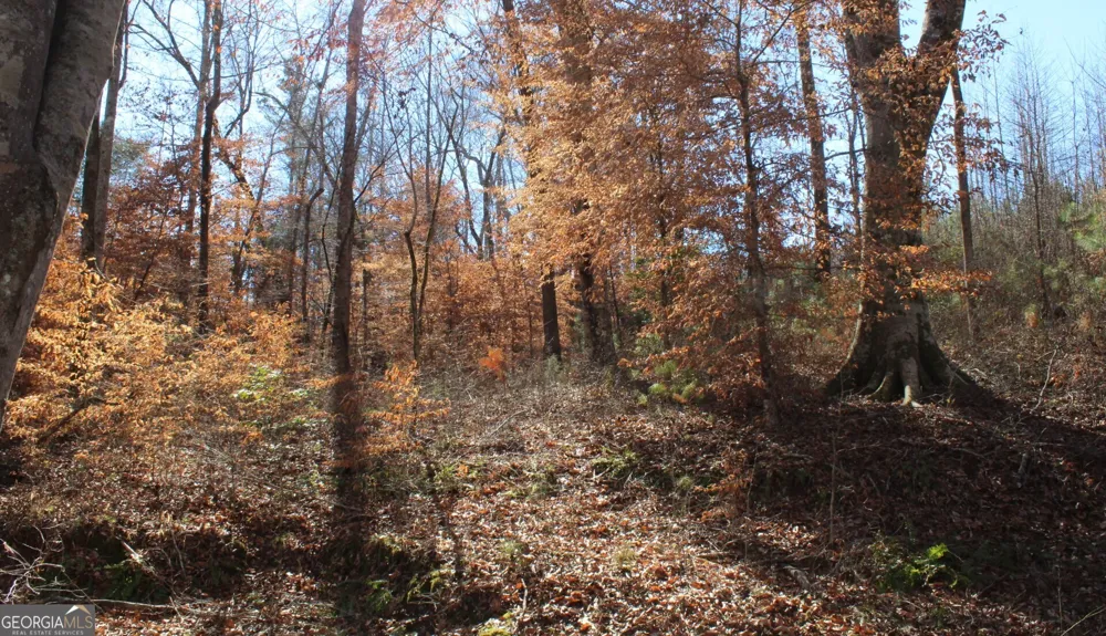 178.235 AC Rocky Mount RD Luthersville, GA 30251