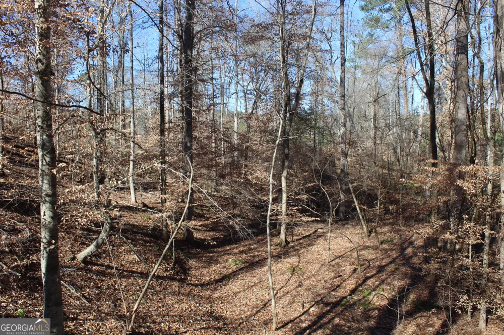 178.235 AC Rocky Mount RD Luthersville, GA 30251