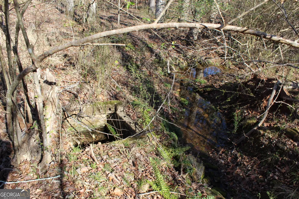 178.235 AC Rocky Mount RD Luthersville, GA 30251