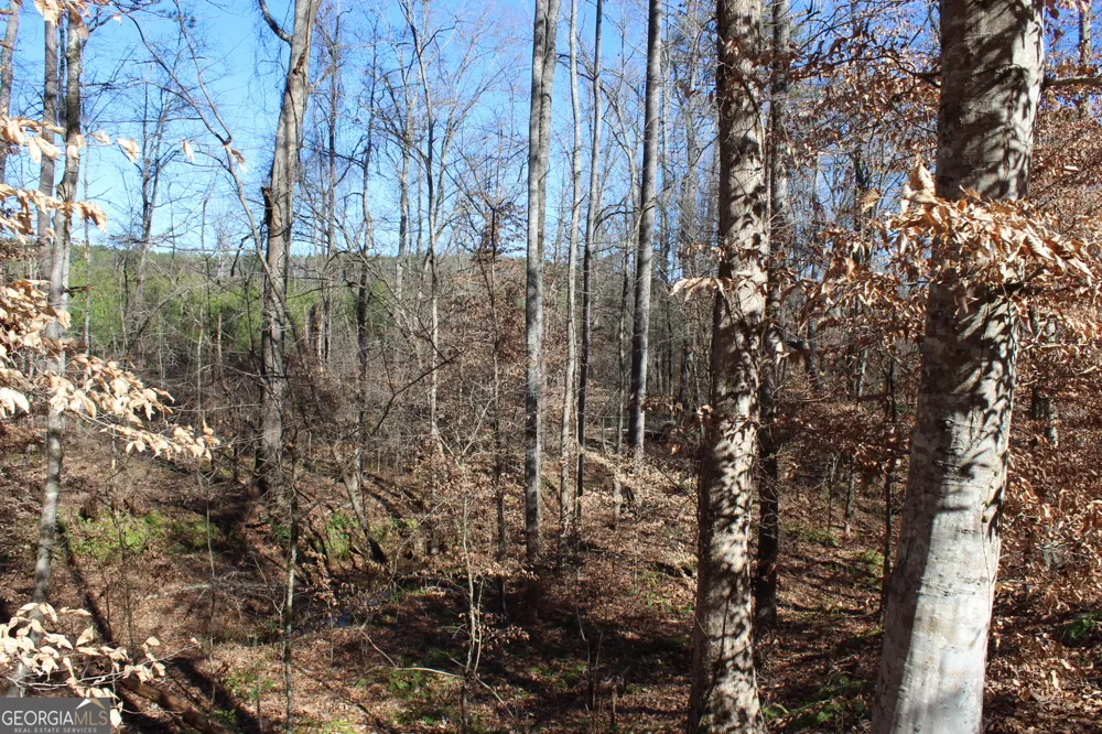 178.235 AC Rocky Mount RD Luthersville, GA 30251