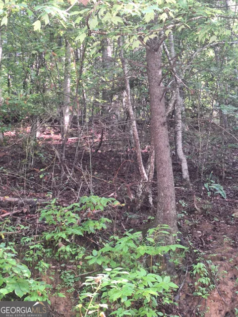 0 Coopers Creek RD