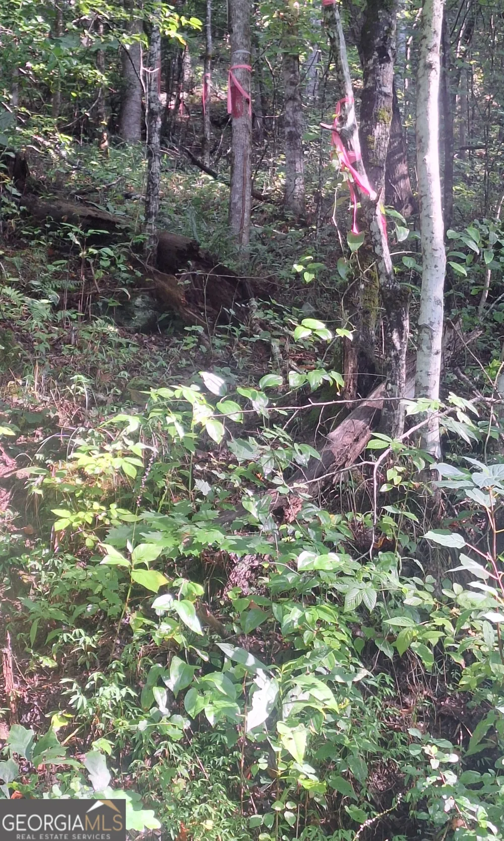 0 Coopers Creek RD Suches, GA 30572