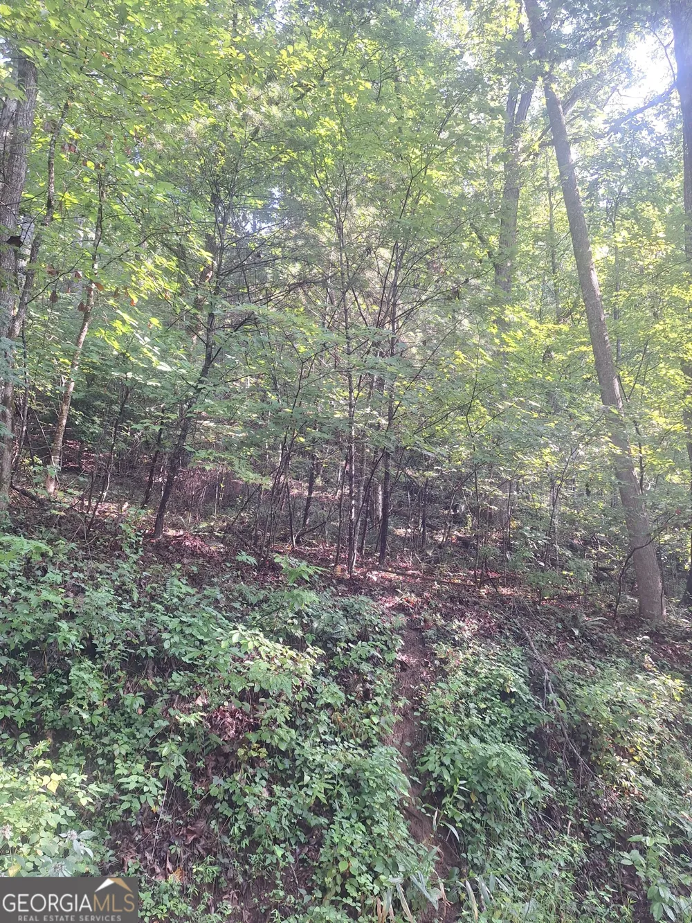 0 Coopers Creek RD Suches, GA 30572