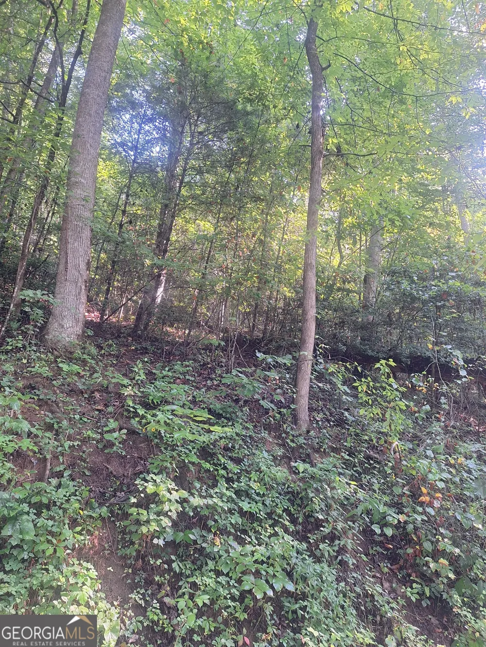 0 Coopers Creek RD Suches, GA 30572