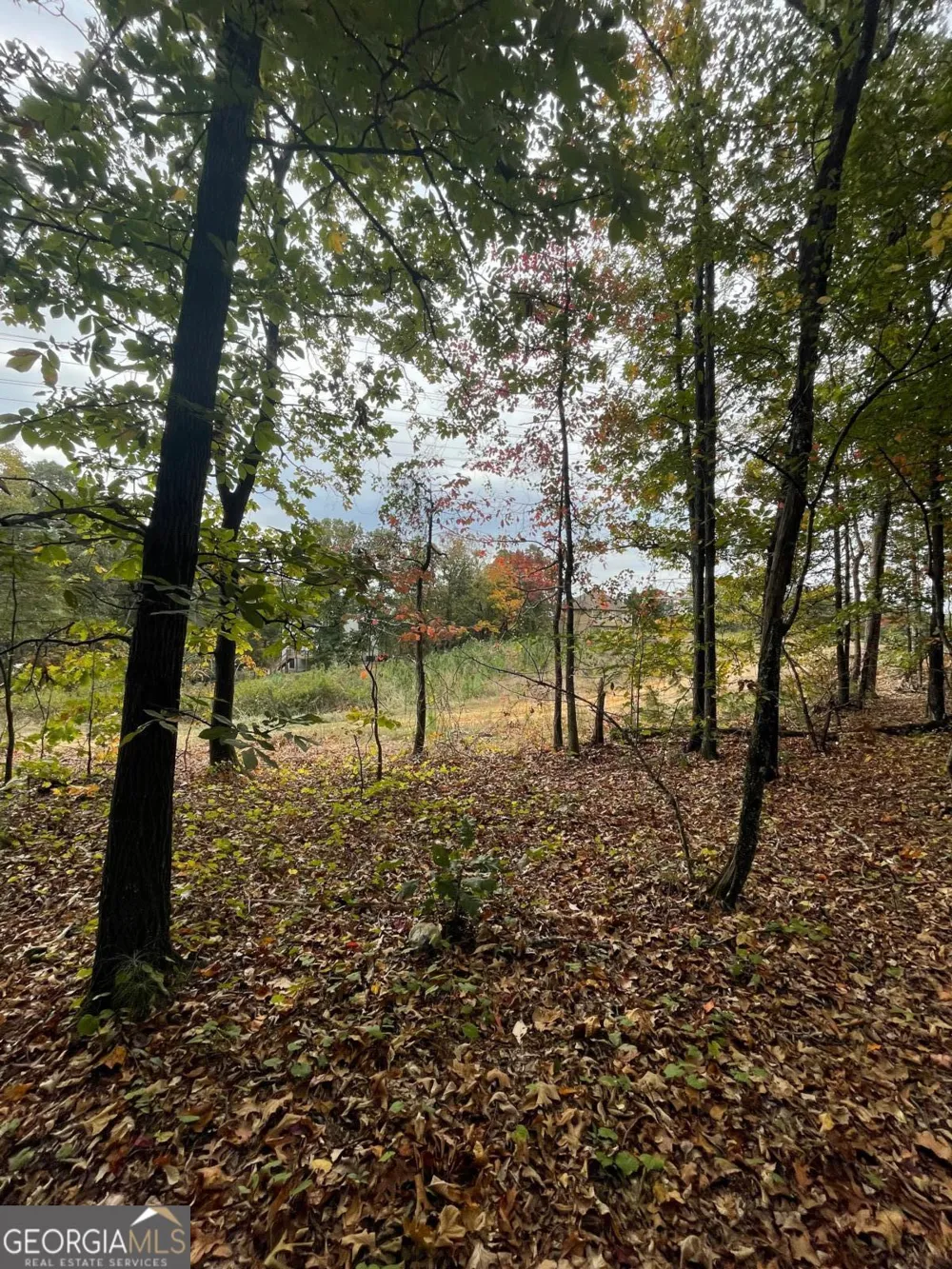41 Foxfire LN Cartersville, GA 30120