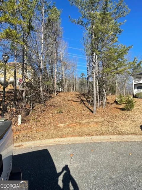 41 Foxfire LN