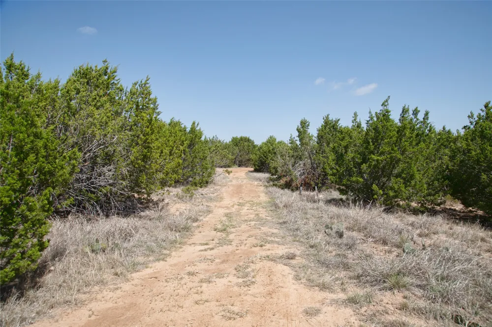 County RD 184 Ovalo, TX 79541