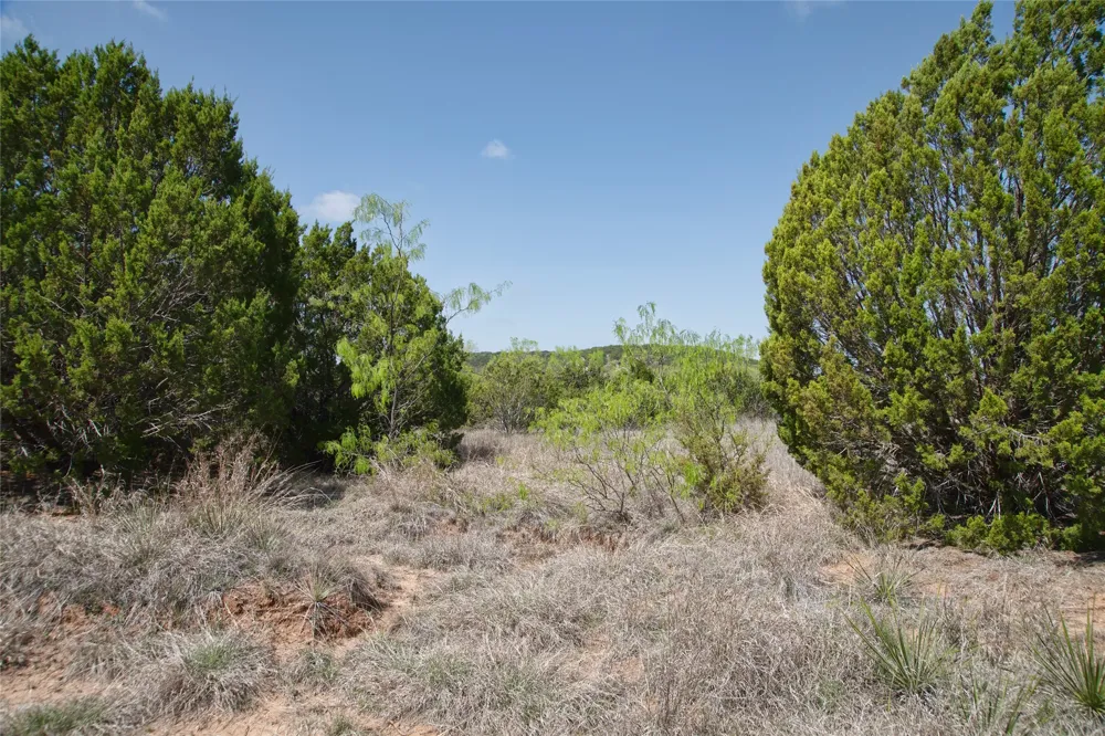 County RD 184 Ovalo, TX 79541