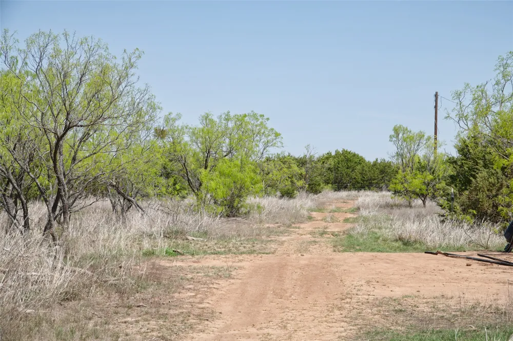 County RD 184 Ovalo, TX 79541