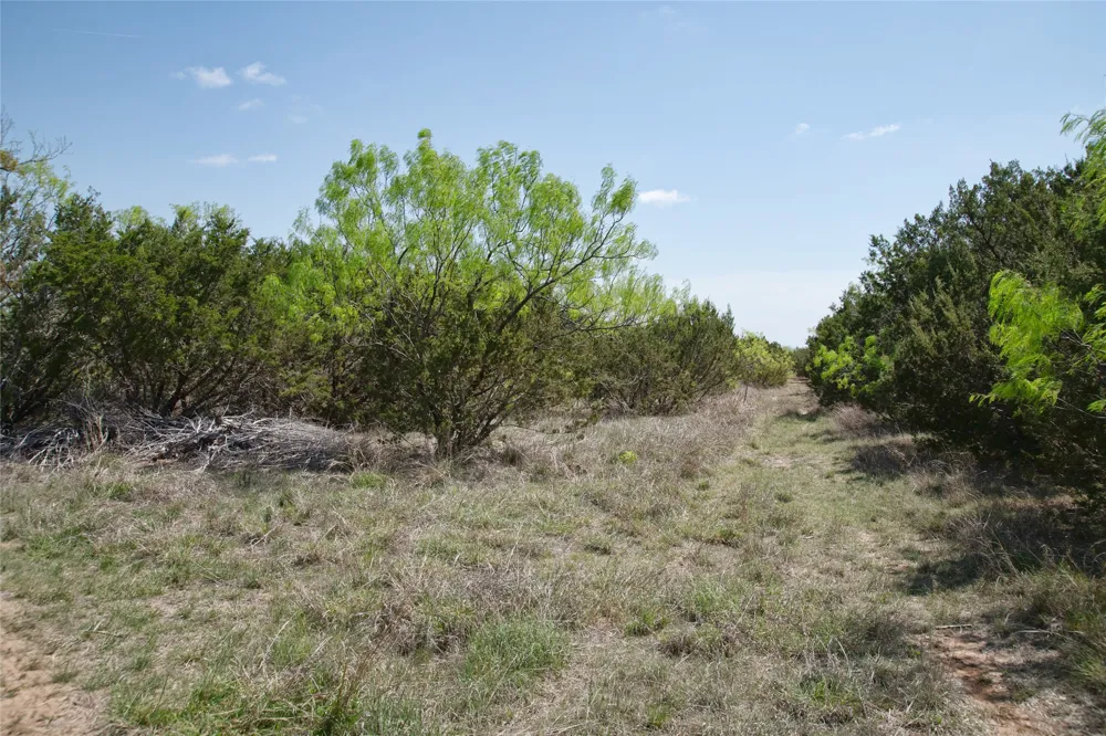 County RD 184 Ovalo, TX 79541