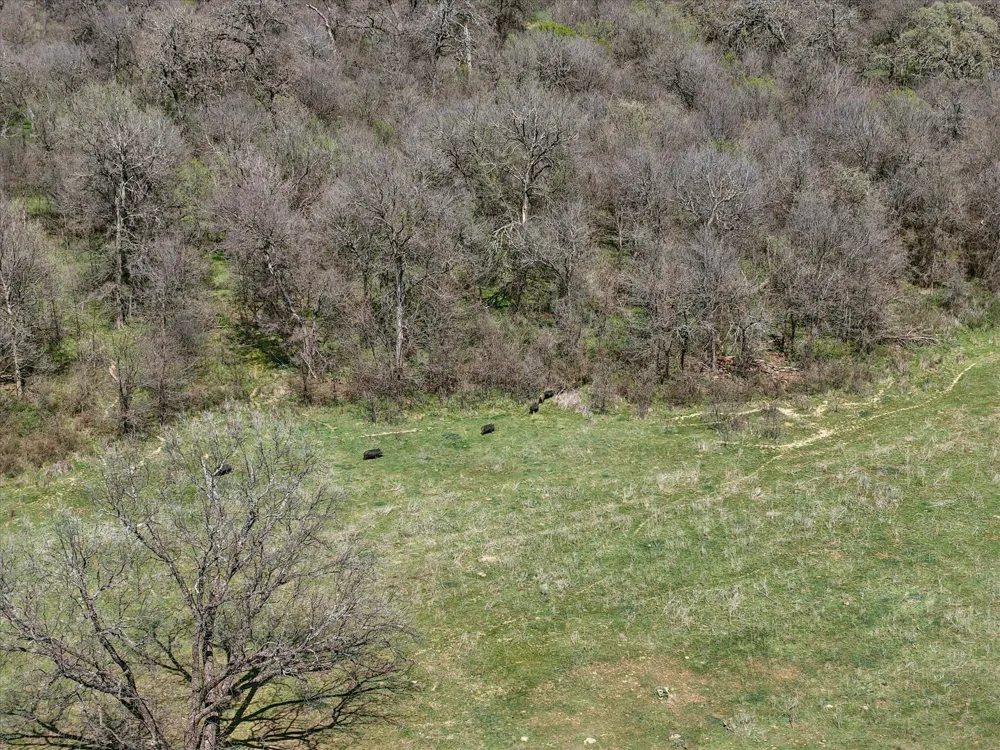 3141 Rogers Road Jacksboro, TX 76458