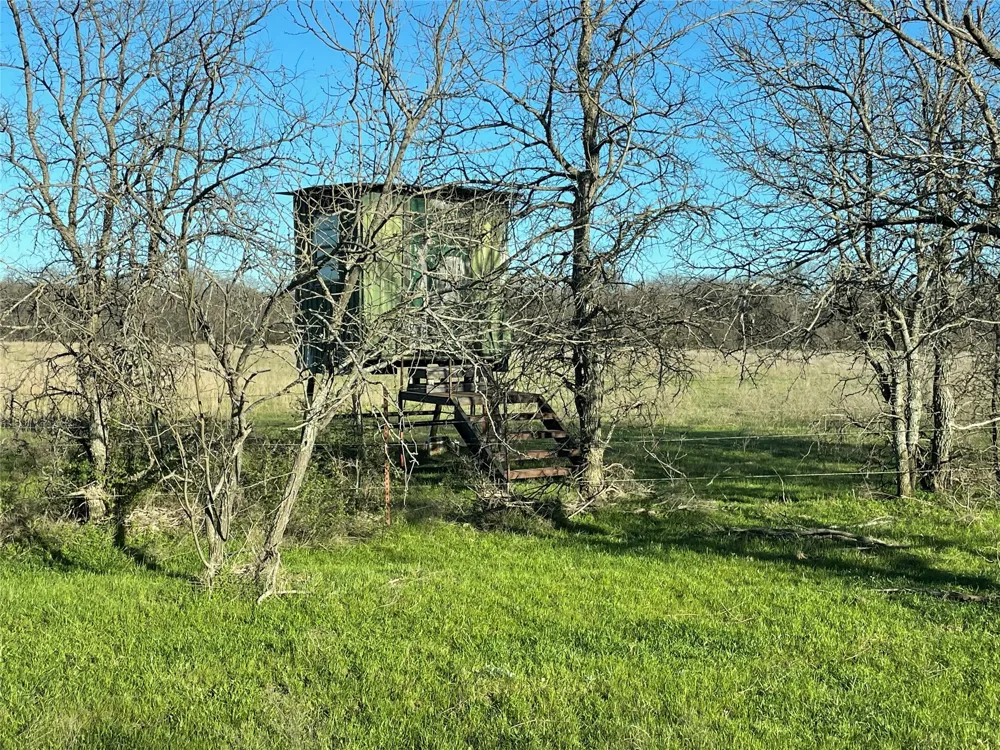 3141 Rogers Road Jacksboro, TX 76458