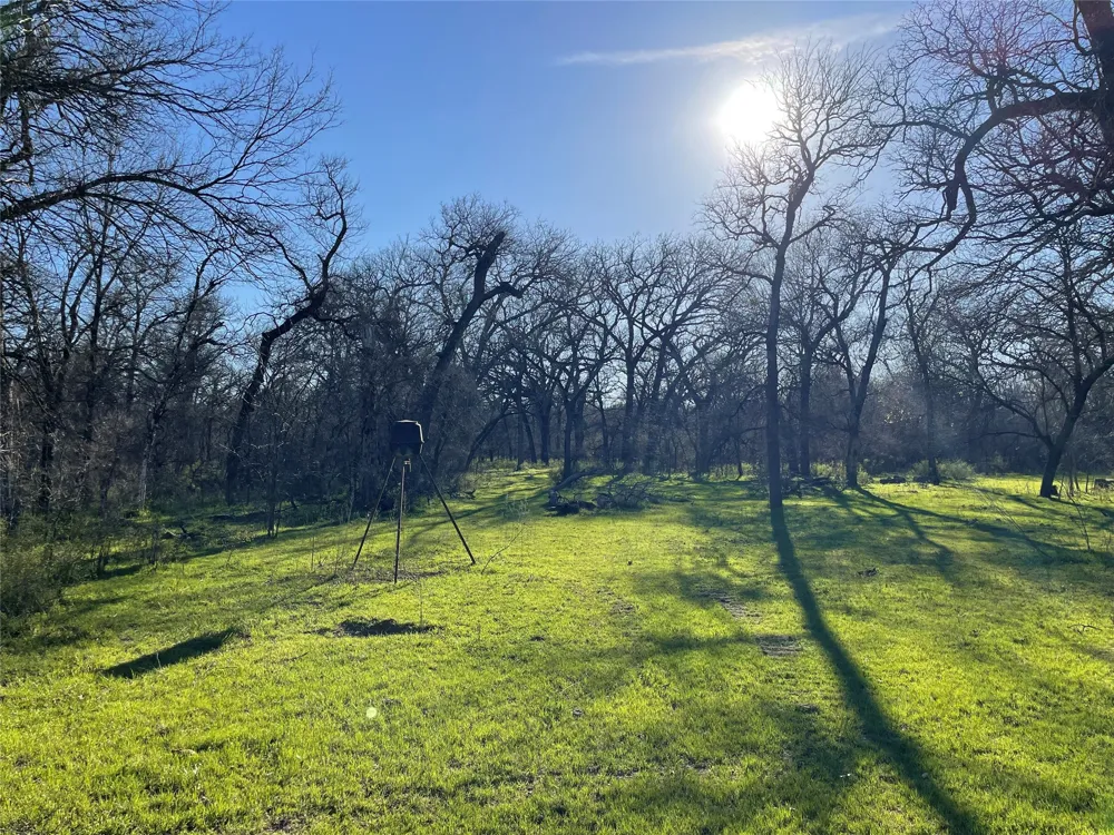 3141 Rogers Road Jacksboro, TX 76458