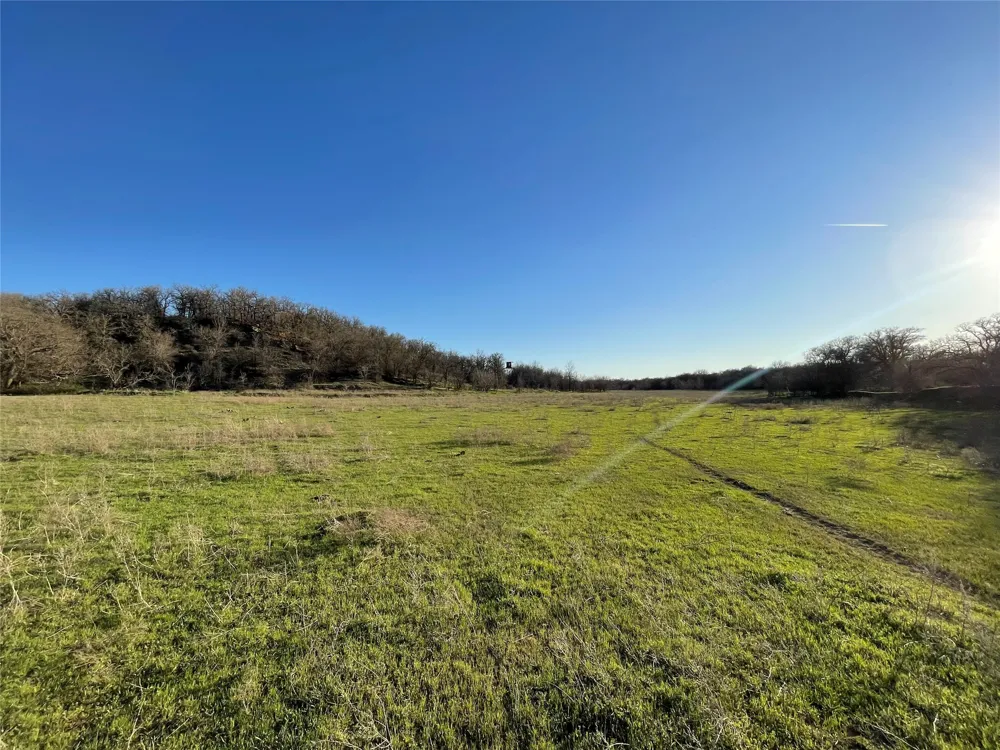 3141 Rogers Road Jacksboro, TX 76458
