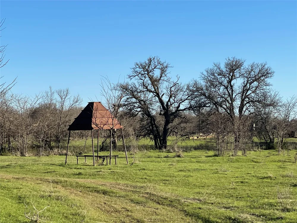 3141 Rogers Road Jacksboro, TX 76458