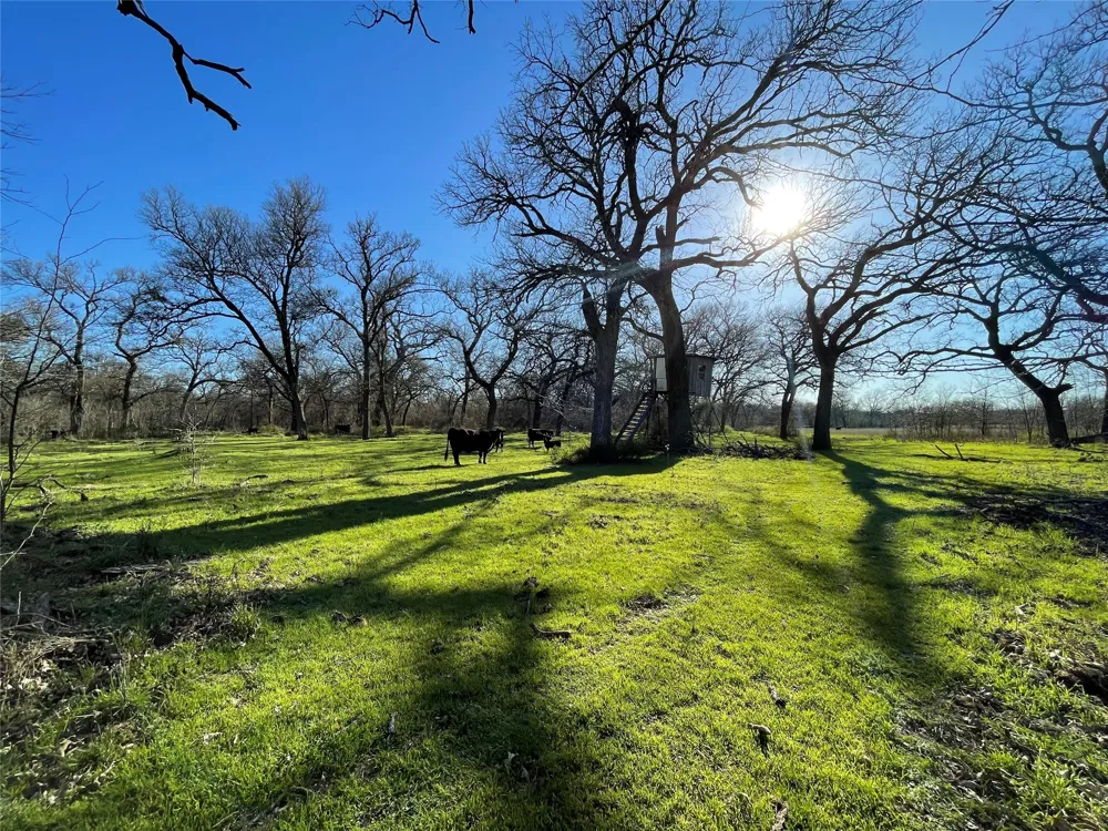 3141 Rogers Road Jacksboro, TX 76458