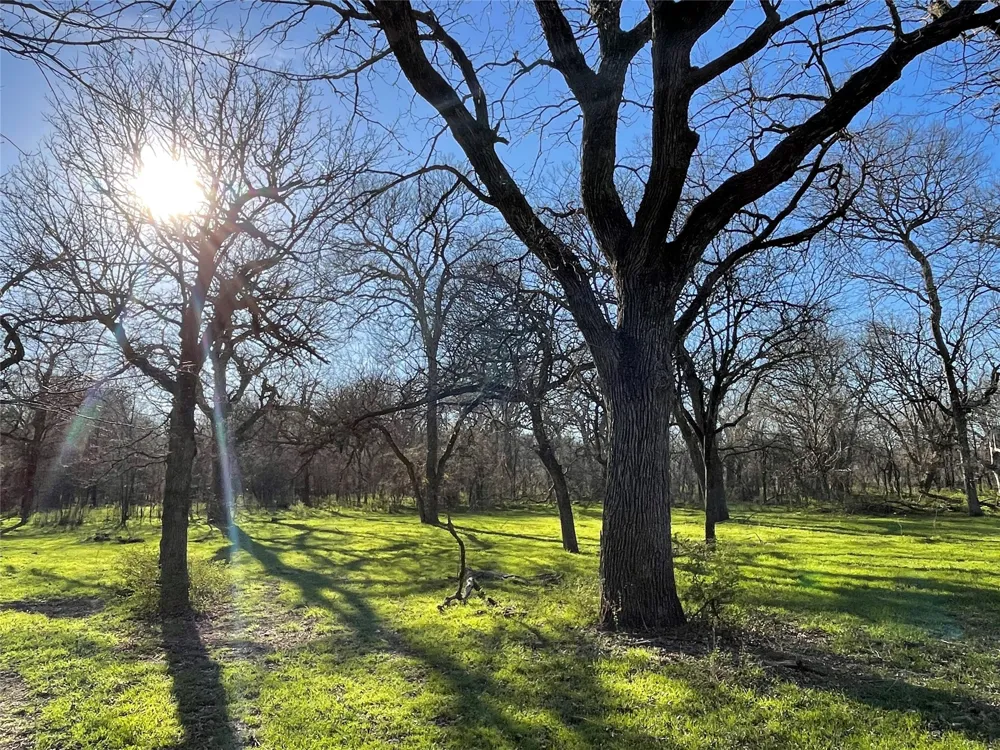 3141 Rogers Road Jacksboro, TX 76458