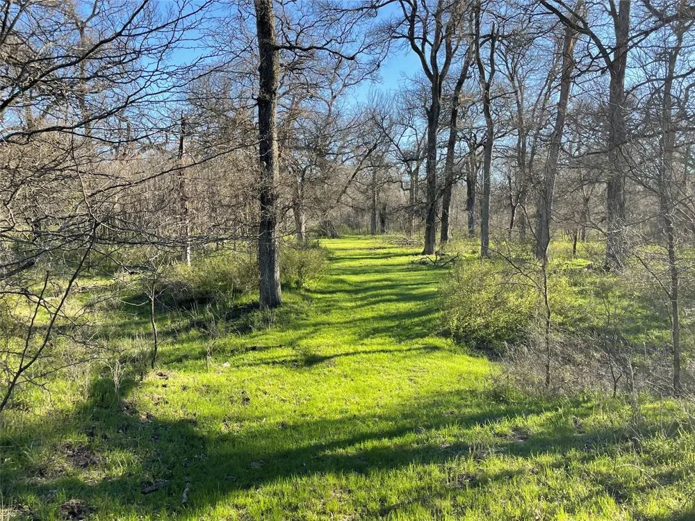 3141 Rogers Road Jacksboro, TX 76458
