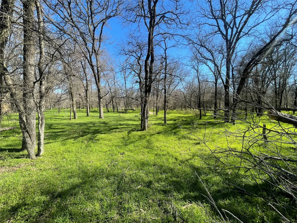 3141 Rogers Road Jacksboro, TX 76458