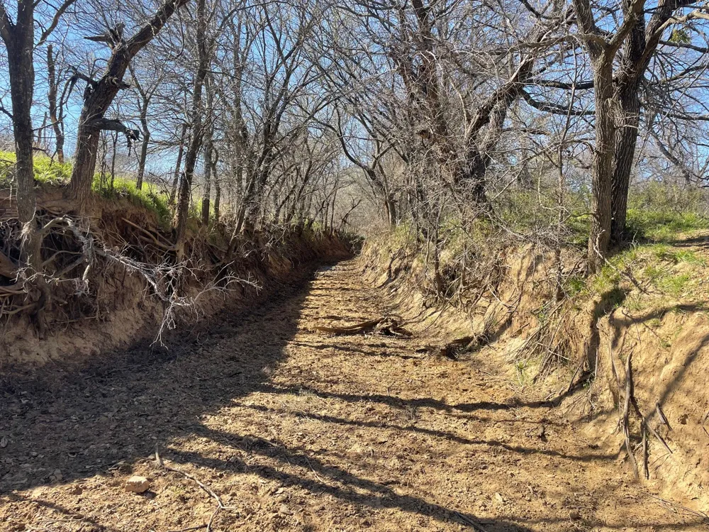 3141 Rogers Road Jacksboro, TX 76458