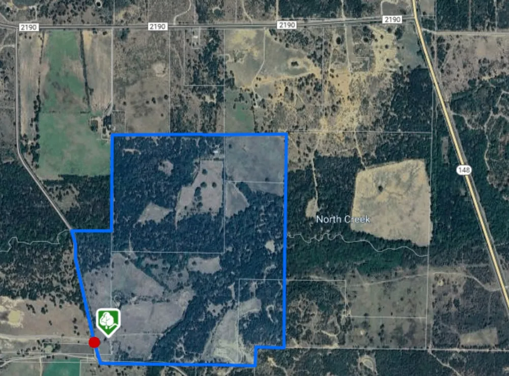 3141 Rogers Road Jacksboro, TX 76458